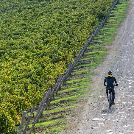 Di Capovento Farmház Castellina in Chianti